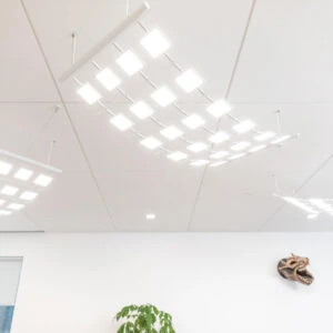 Acuity Brands´ OLED pendant luminaire Canvis