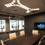 Trillia in DKB Conference Room