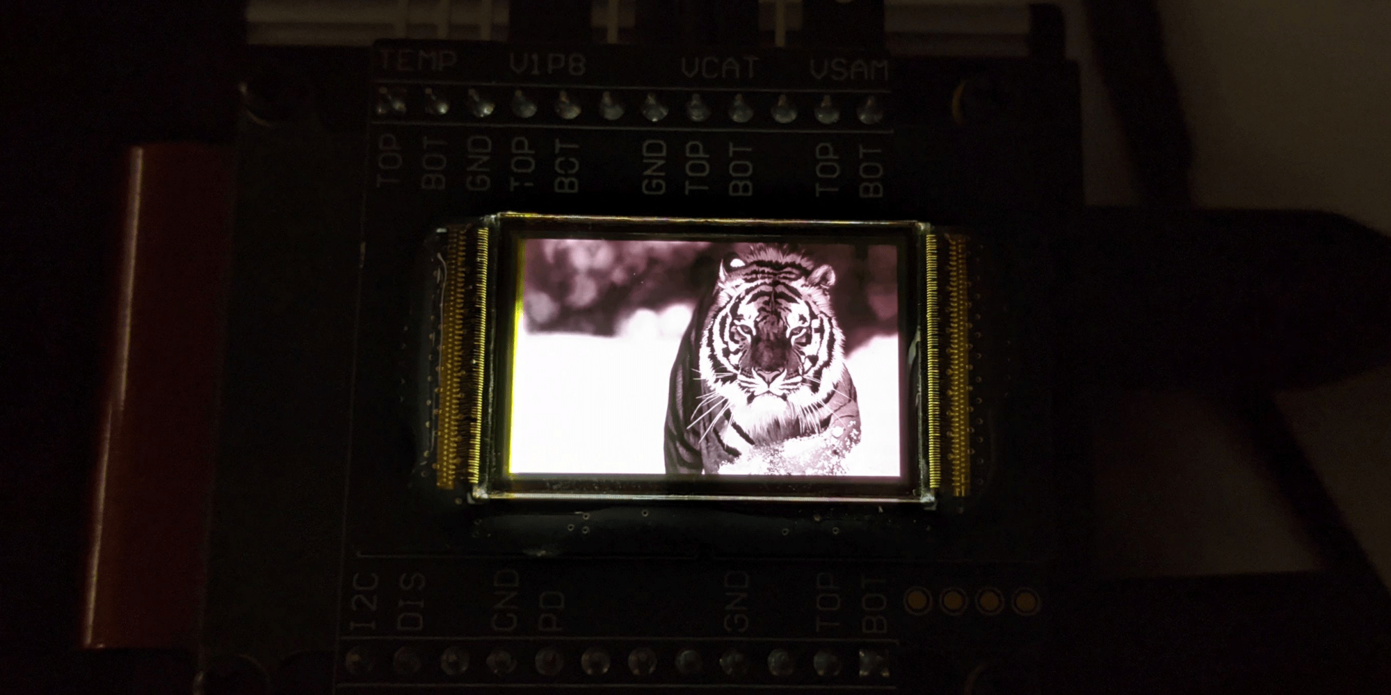 OLED Microdisplay