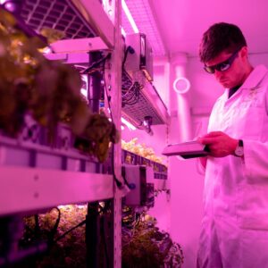 Indoor Agriculture with Grow Lights