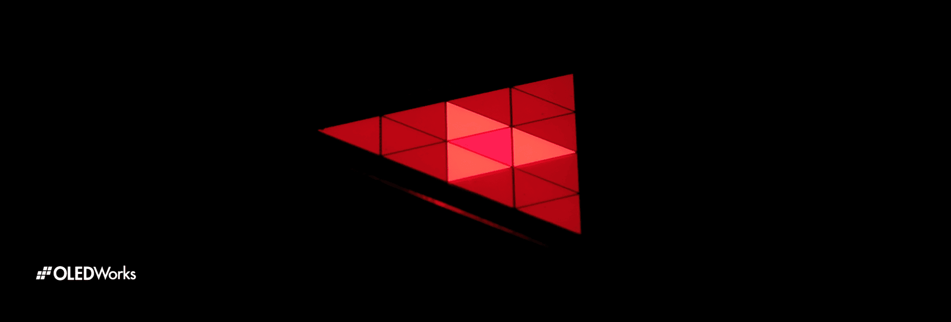 Segmented automotive OLED panel